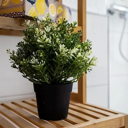 Unique Rossmaessler Refugium - Naehe Dresden Apartment *